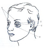 Самодиагностика зоны вокруг глаз - 3
